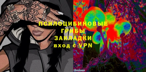 ГАЛЛЮЦИНОГЕННЫЕ ГРИБЫ Абдулино