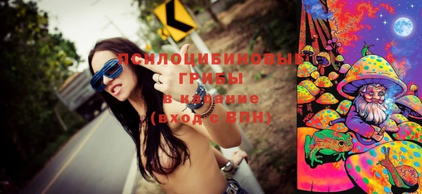 ГАЛЛЮЦИНОГЕННЫЕ ГРИБЫ Абдулино