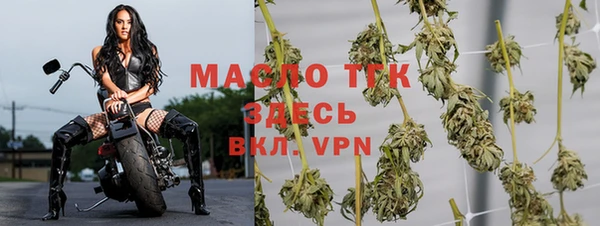 тгк Алексин