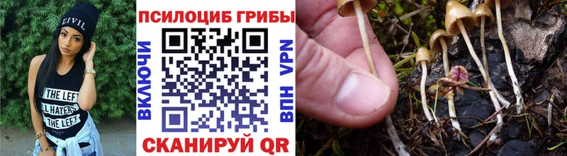 где можно купить наркотик  Сызрань  MEGA как войти  Галлюциногенные грибы MAGIC MUSHROOMS 