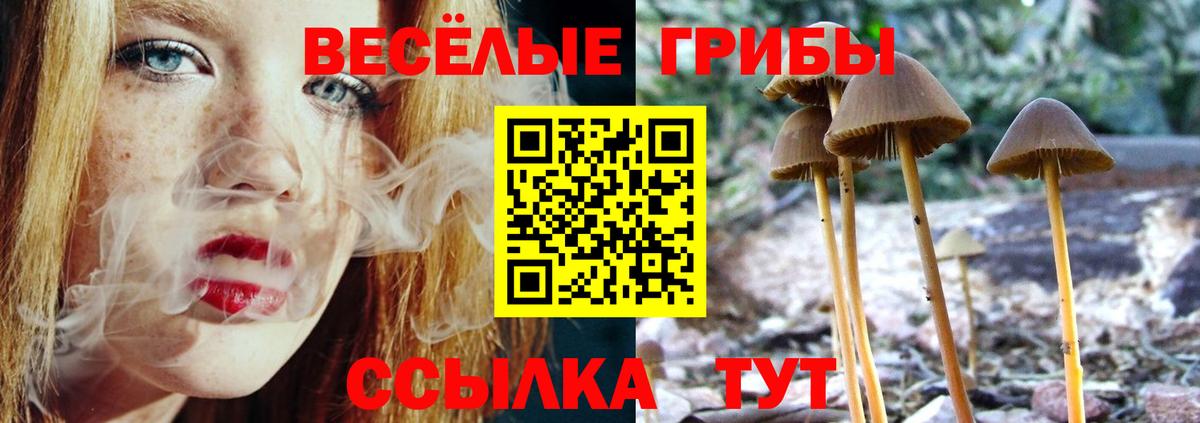 Канабис  Кетамин  Меф МЯУ МЯУ кристаллы  Сызрань  Вход с VPN  Гашиш 